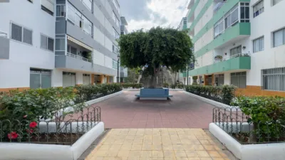Apartment on Calle Forjador photo 19