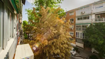 Apartment in Ambroz photo 29