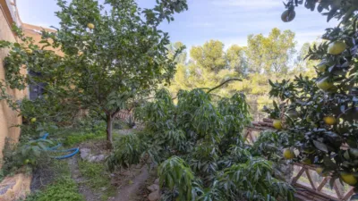 Chalet in Los Pinos photo 50