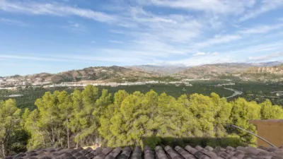 Chalet in Los Pinos photo 35