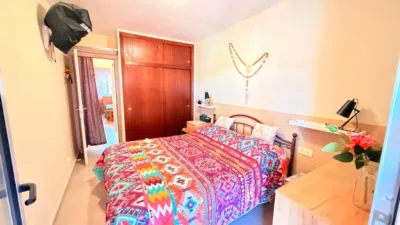 Apartment in Playa de los Naufragos photo 18