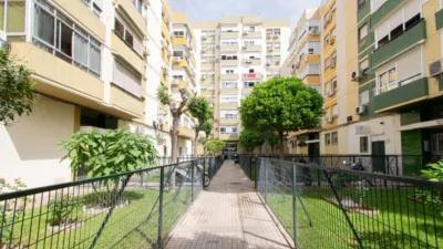 Apartment in Grupo Principes Los Parcela photo 20
