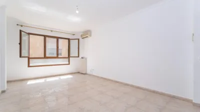 Apartment in La Missió photo 31