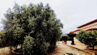 Chalet in the Valencian Community photo 37