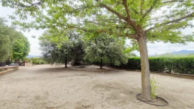 Chalet in the Valencian Community photo 39