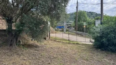 Chalet in Rodalies Martorell photo 35