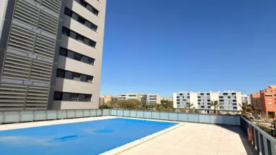 Apartment on Granja de Rocamora Street photo 26
