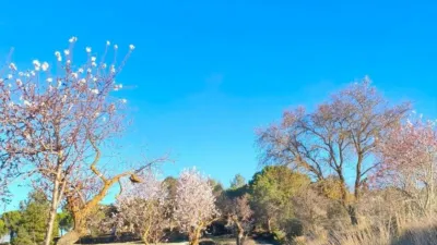 Chalet in the Valencian Community photo 31