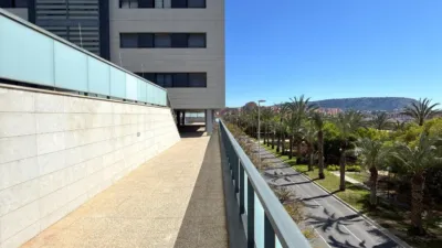 Apartment on Granja de Rocamora Street photo 27