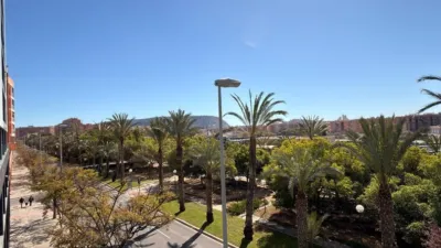 Apartment on Granja de Rocamora Street photo 29