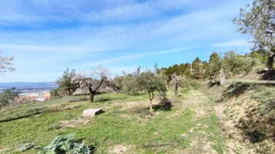 Chalet in the Valencian Community photo 29