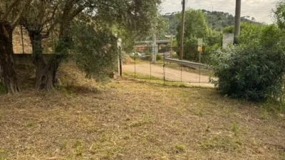 Chalet in Rodalies Martorell photo 34