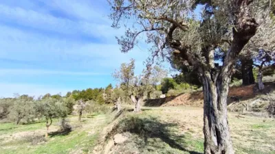 Chalet in the Valencian Community photo 24