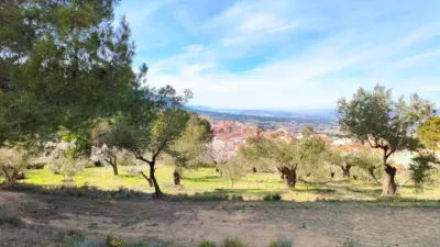 Chalet in the Valencian Community photo 28