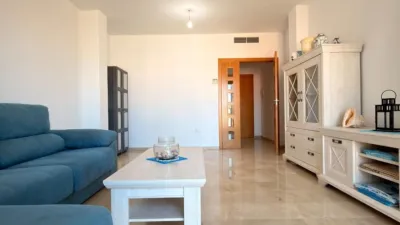 Apartment on Granja de Rocamora Street photo 5
