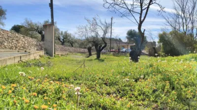 Chalet in the Valencian Community photo 13