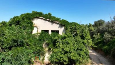 Rustic farm on Calle Masia Cal Rull Afueras, No. 6 photo 3
