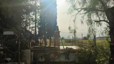 Rustic Finca in Jumilla photo 17