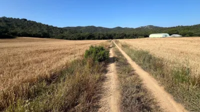 Rustic farm on Calle Masia Cal Rull Afueras, No. 6 photo 19