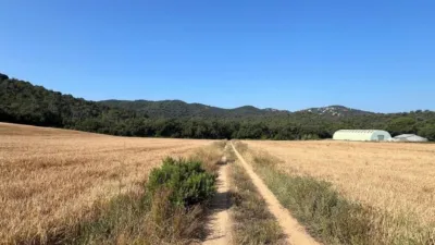 Rustic farm on Calle Masia Cal Rull Afueras, No. 6 photo 22