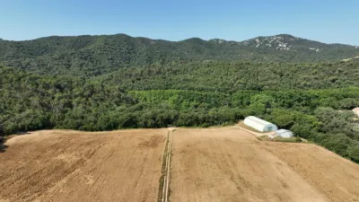 Rustic farm on Calle Masia Cal Rull Afueras, No. 6 photo 16