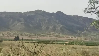Rustic Finca in Jumilla photo 18