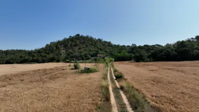 Rustic farm on Calle Masia Cal Rull Afueras, No. 6 photo 21