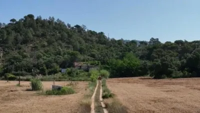 Rustic farm on Calle Masia Cal Rull Afueras, No. 6 photo 20