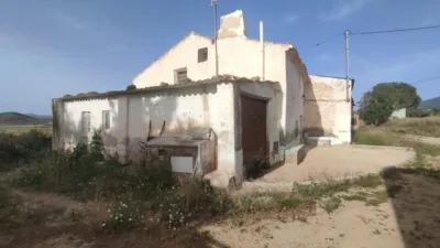 Rustic Finca in Jumilla photo 3