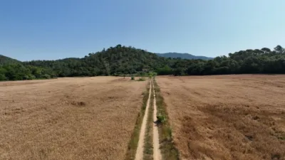 Rustic farm on Calle Masia Cal Rull Afueras, No. 6 photo 18