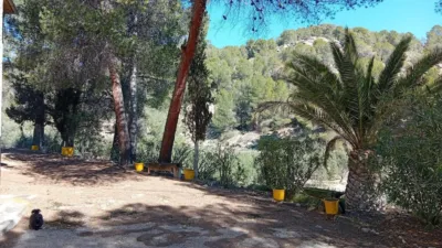 Rustic farm in Poligono Ind. los Vasalos photo 20