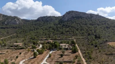Chalet in Abanilla photo 36