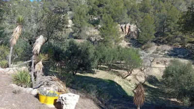 Rustic farm in Poligono Ind. los Vasalos photo 17