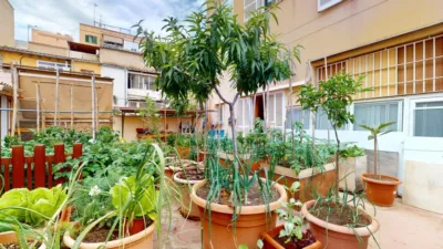 House in Son Canals photo 35
