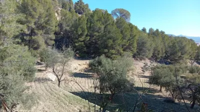 Rustic farm in Poligono Ind. los Vasalos photo 19