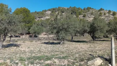 Rustic farm in Poligono Ind. los Vasalos photo 29