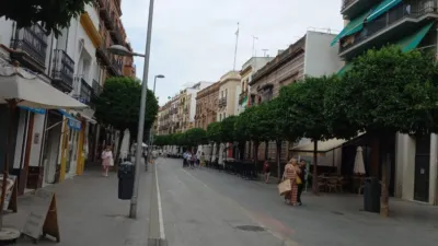 Flat on Calle San Jacinto photo 38