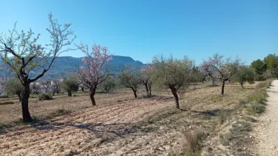 Rustic farm in Poligono Ind. los Vasalos photo 28