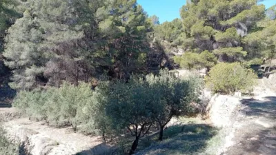 Rustic farm in Poligono Ind. los Vasalos photo 15