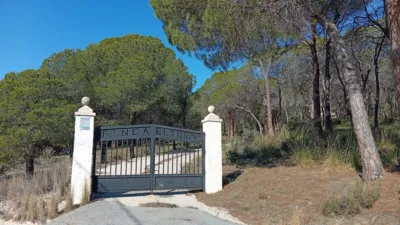 Rustic farm in Poligono Ind. los Vasalos photo 25