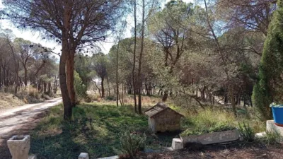 Rustic farm in Poligono Ind. los Vasalos photo 22