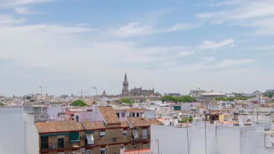 Flat on Calle San Jacinto photo 32