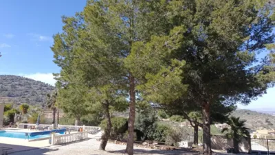 Chalet in Abanilla photo 32