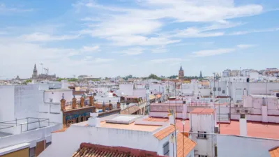 Flat on Calle San Jacinto photo 27