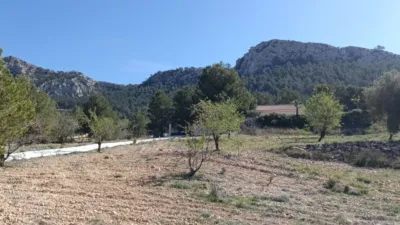 Chalet in Abanilla photo 31