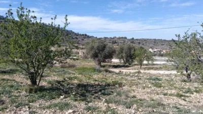 Chalet in Abanilla photo 27