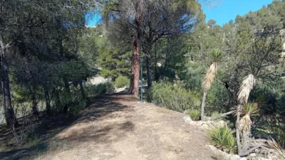 Rustic farm in Poligono Ind. los Vasalos photo 18