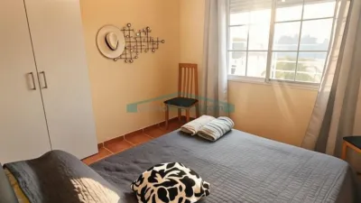 Chalet in Elche - Elx photo 12