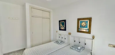 Apartment in Playa Flamenca photo 14