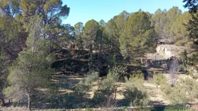 Rustic farm in Poligono Ind. los Vasalos photo 21